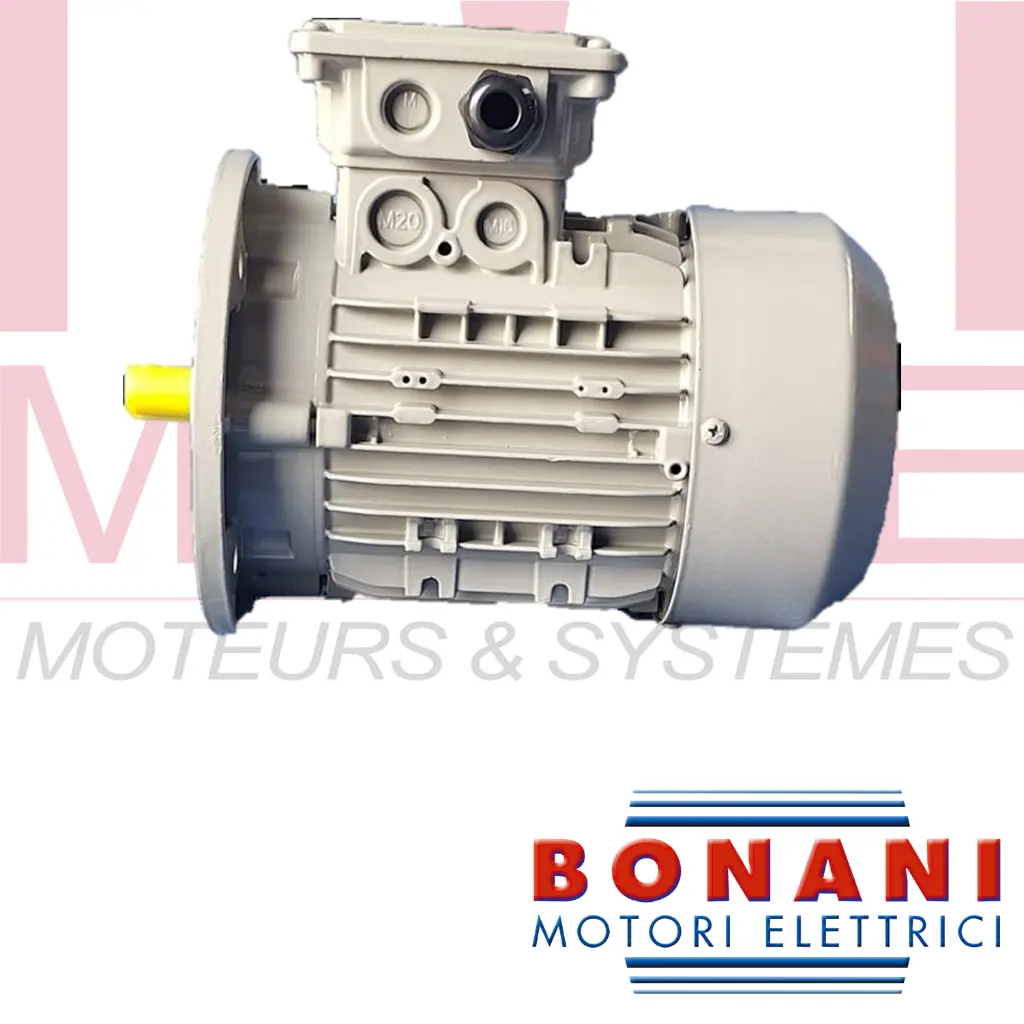 Moteur Bonani épuration.webp