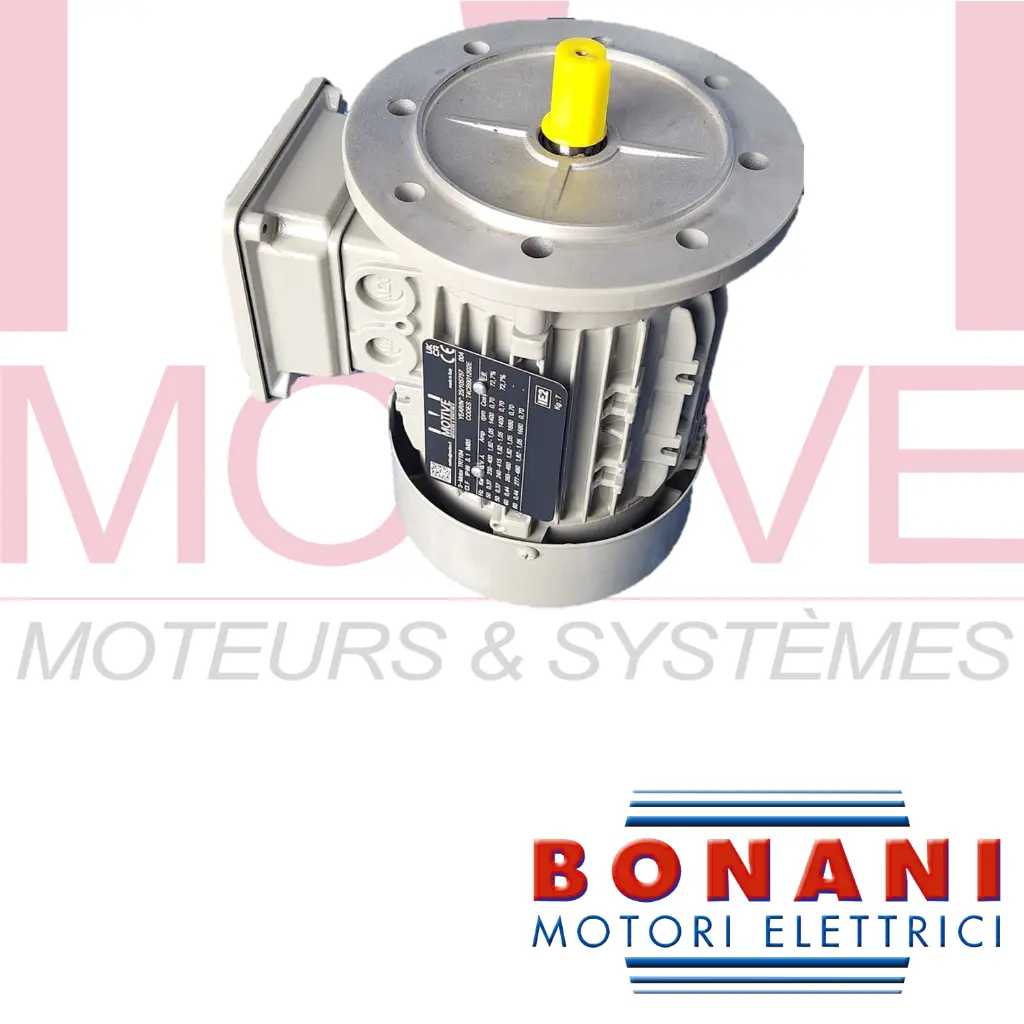 moteur micro station épuration BONANI.webp