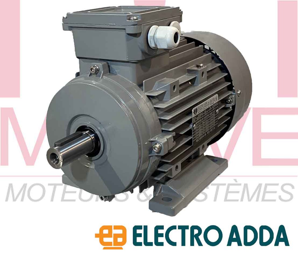 Moteur électrique triphasé 230/400v 1000 tr/min 0,37kw B5
