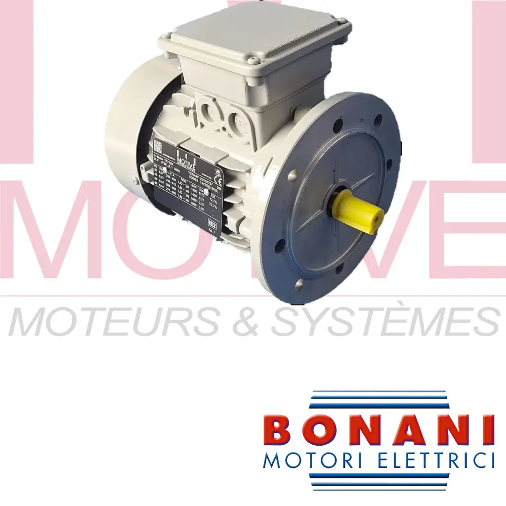 Mot tri BONANI type TR71-4/B5 0,37Kw