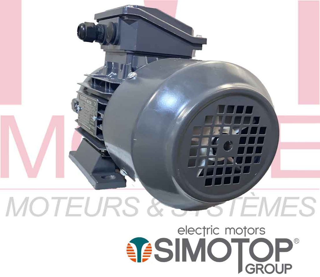 Moteur électrique triphasé 400/690V 3000 tr/min 3kw 