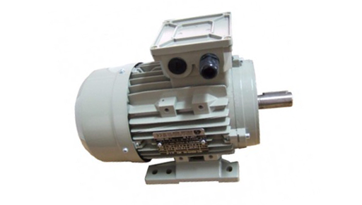 [GFSI T3A 2-801 2V] Moteur électrique triphasé 230/400v 3000 tr/min 0,75kw