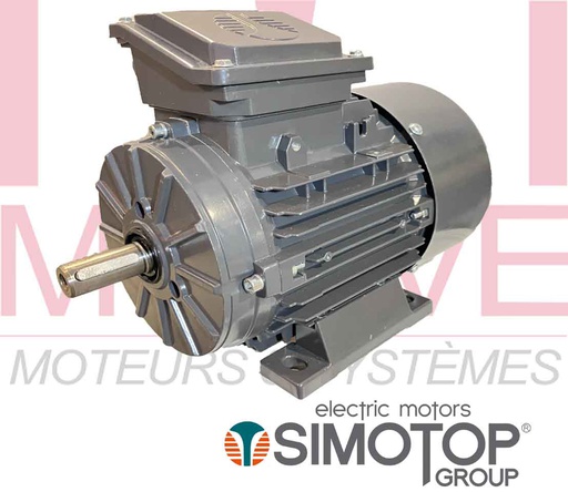 [GFSI T3A 6-90S 2V] Moteur électrique triphasé 230/400v 1000 tr/min 0,75kw